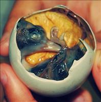 Balut