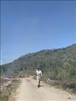 thumbnail of 