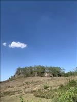 thumbnail of 