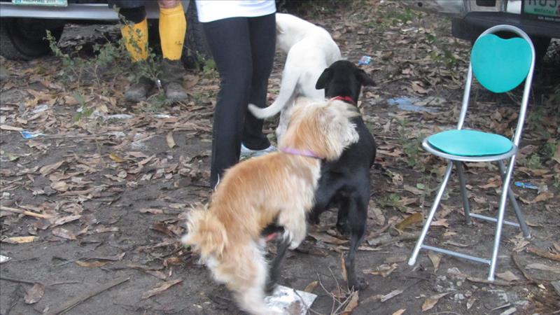 20111211 (26)_tn