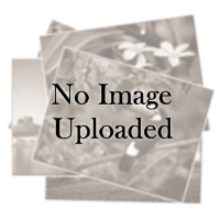 Images from Angeles Bushranger Run #52